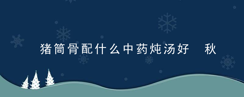 猪筒骨配什么中药炖汤好 秋季骨头煲什么汤好